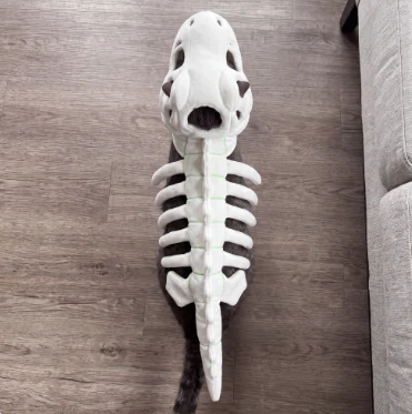 🦖 Glow In The Dark Dinosaur Costume For Cats