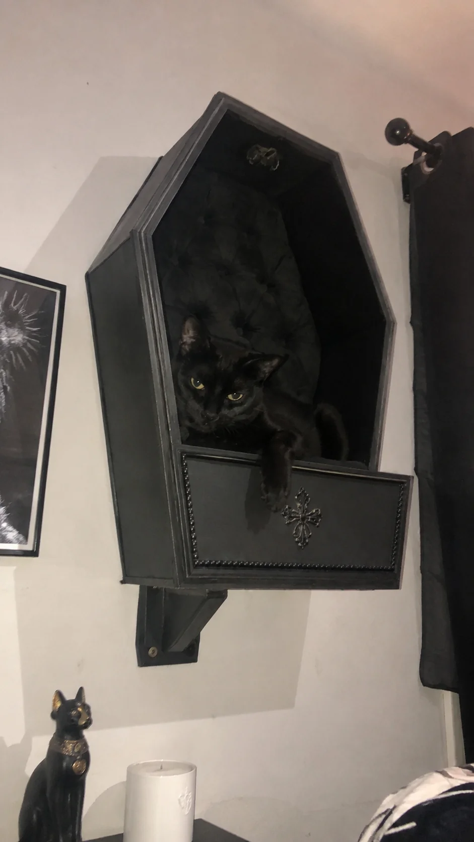 🖤 Gothic Wall‑Mounted Cat Bed – Cozy Elevated Hideaway for Your Feline Friend
