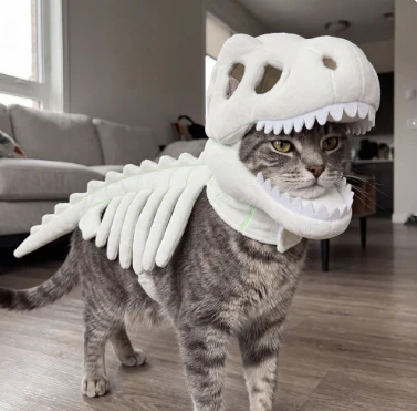 🦖 Glow In The Dark Dinosaur Costume For Cats