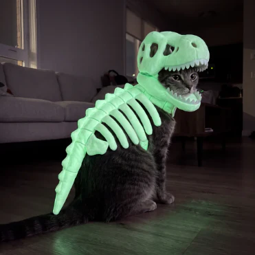 🦖 Glow In The Dark Dinosaur Costume For Cats