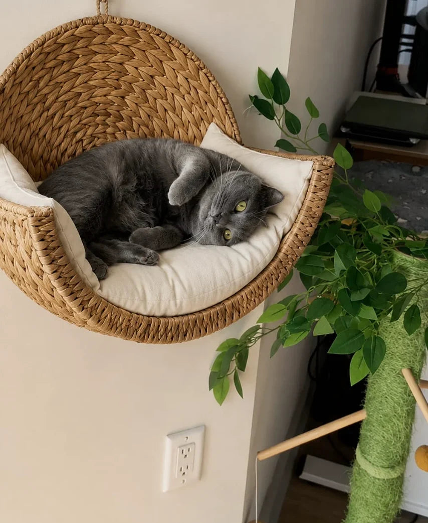 🐱 Wall‑Mounted Woven Cat Bed – Cozy Elevated Resting Spot for Your Feline Friend