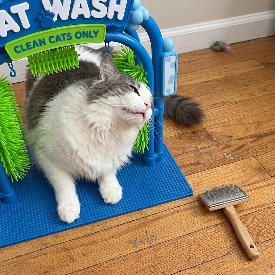 🐱 Self‑Grooming Cat Brush – Let Your Cat Groom Naturally